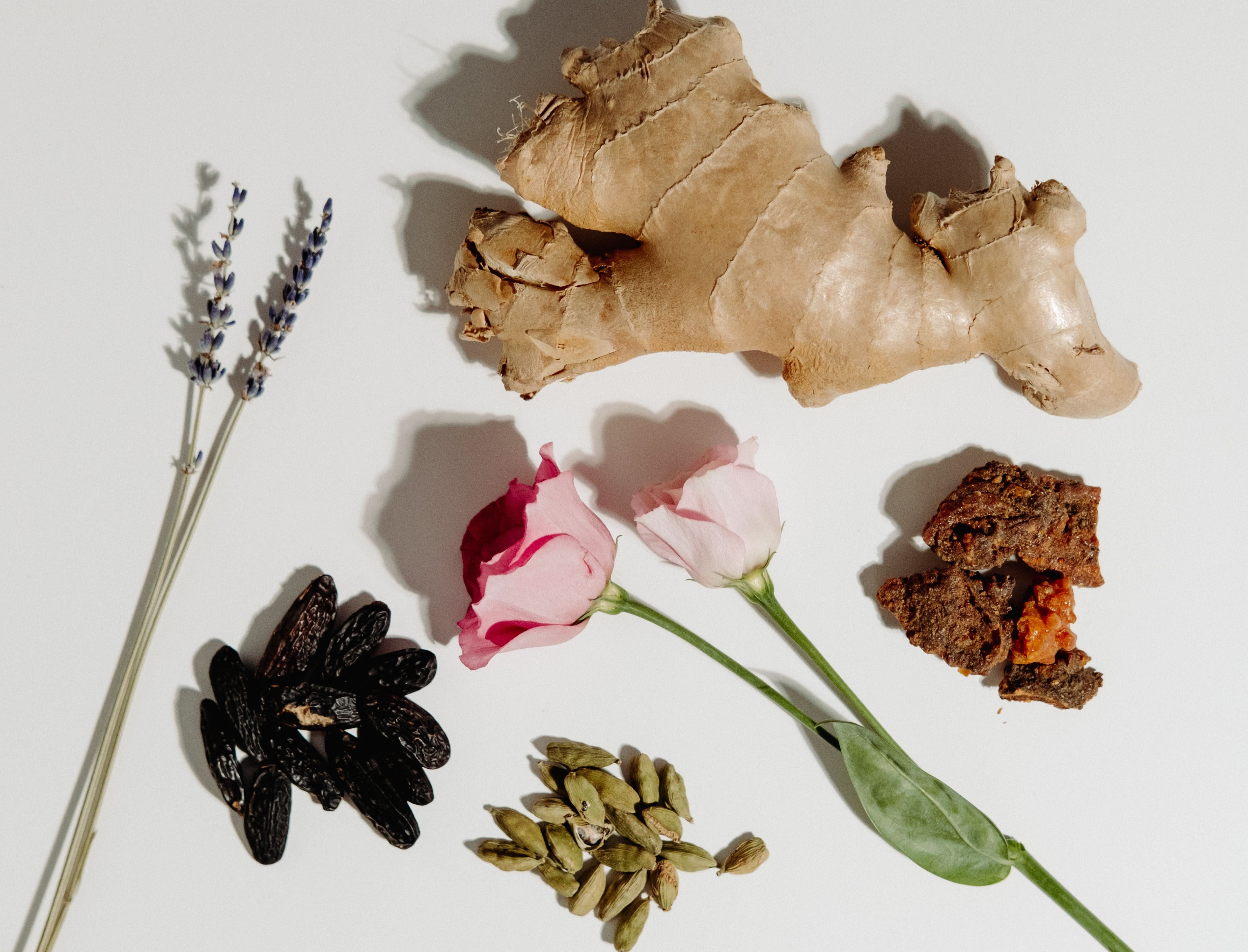 The STORIES Deluxe Sample Duo