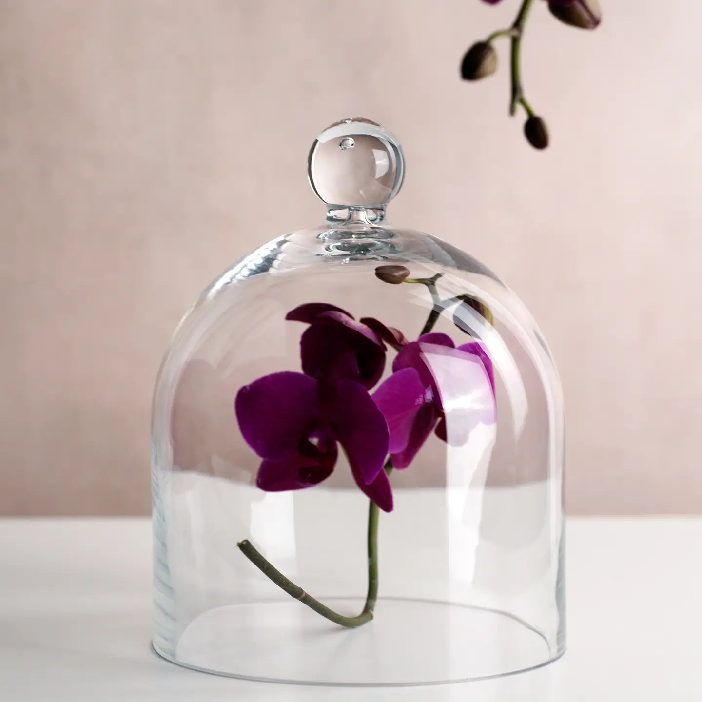 Vintage French Medium Glass Cloche Jar