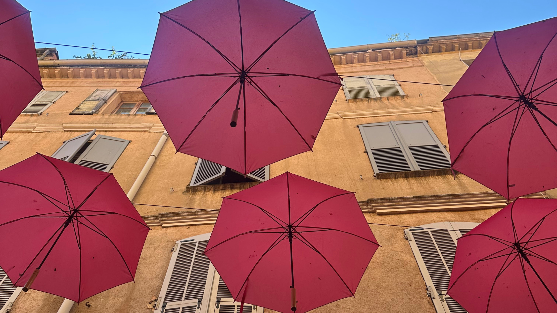 A Story of Discovery — From Grasse to Today, Seven Years Later