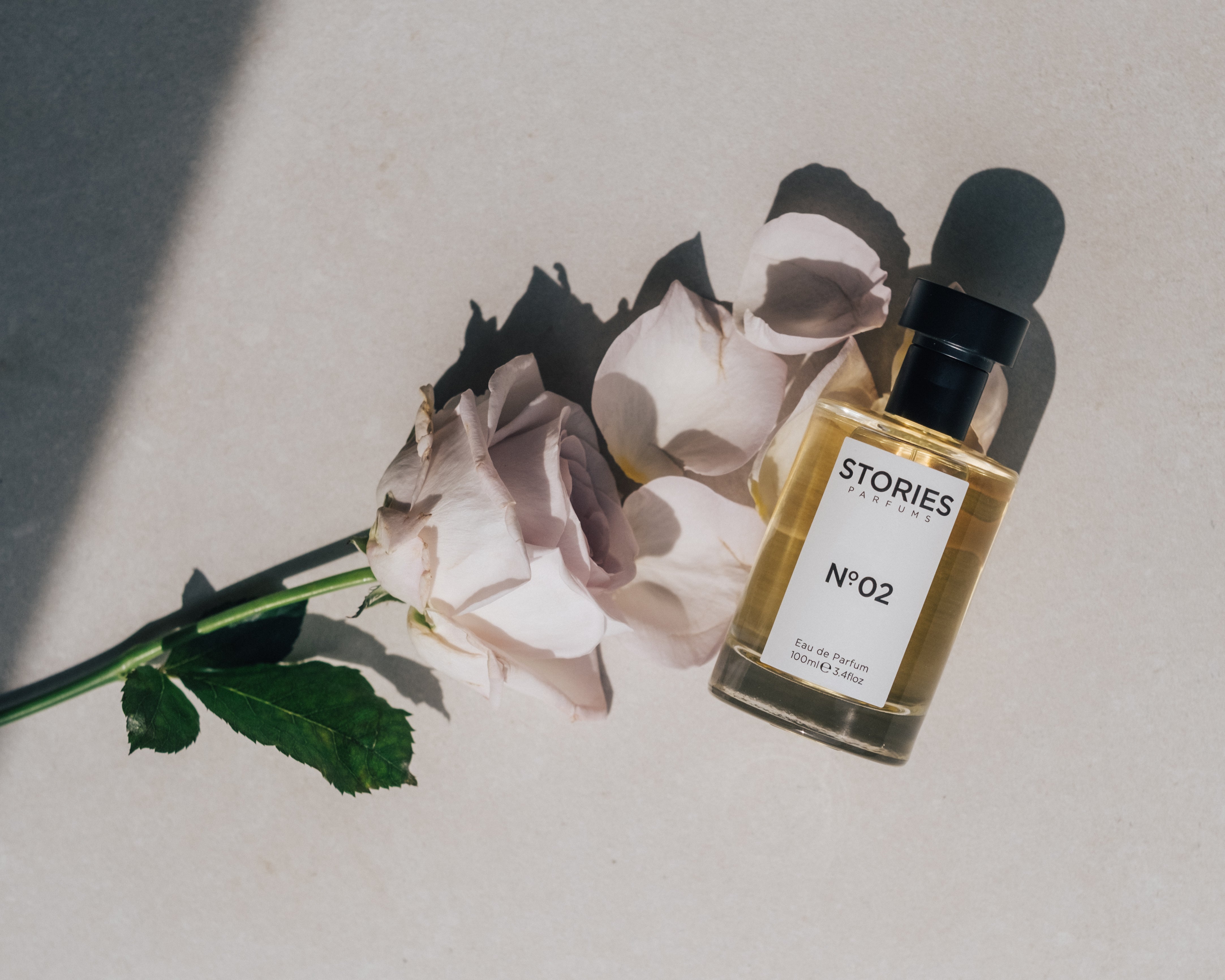 STORIES No.02 Eau de Parfum bottle lying next to a pale pink rose
