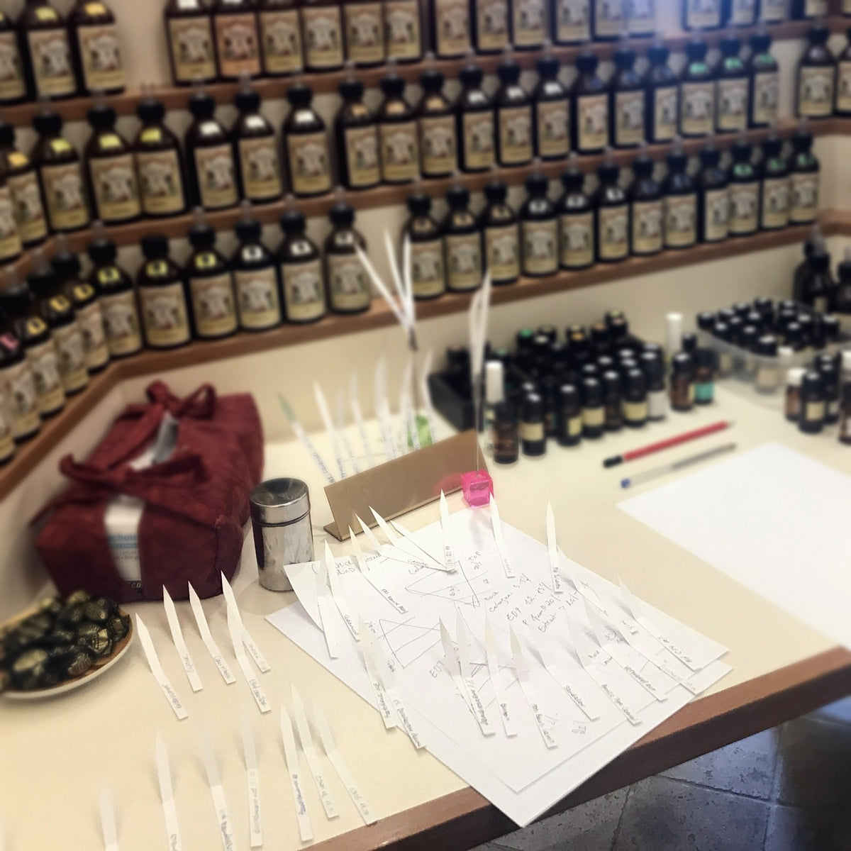 The perfumer's organ in Grasse: tiered shelves of amber glass bottles above a desk scattered with scent blotters and notes